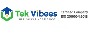 Clickzen created website - tekvibees Logo